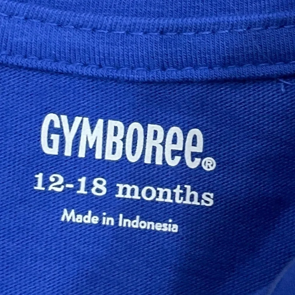 Gymboree toddler girls 12-18 months cap sleeve blue t-shirt with heart pocket
